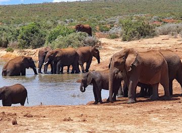 south-africa/addo-elephant-national-park/landmark/addo-elephant-national-park-south-gate-mathyolweni-gate