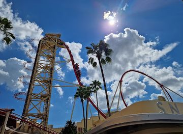 florida/orlando-theme-parks-area/landmark/universal-studios-florida-lost-and-found