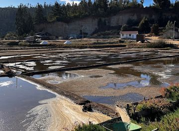 chile/pichilemu/landmark/salinas-de-cahuil-produccion-de-sal-artesanal
