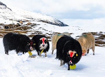 faroe-islands/sandavagur/landmark/langasandur