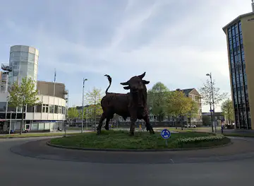 De Stier