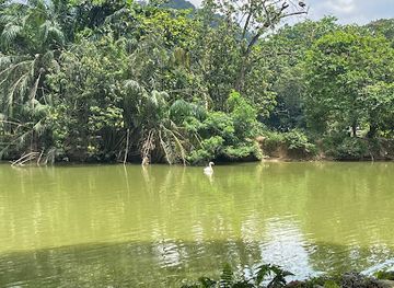 malaysia/taman-negara-national-park/landmark/pahang-national-park