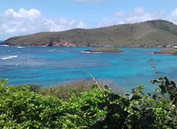 saint-vincent-and-the-grenadines/mustique/landmark/old-hegg-turtle-sanctuary