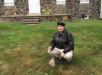 delaware/new-castle-county/landmark/george-washington-witness-tree-of-delaware-no-2