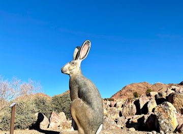 nevada/boulder-city/landmark/nature-discovery-trail-and-rock-garden