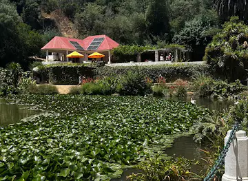 Viña del Mar National Botanical Garden