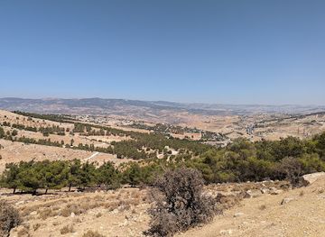 jordan/tafileh-highlands/landmark/wasfi-altal-forest-reserve