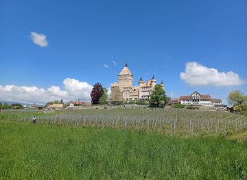 switzerland/vaud/landmark/vufflens-castle