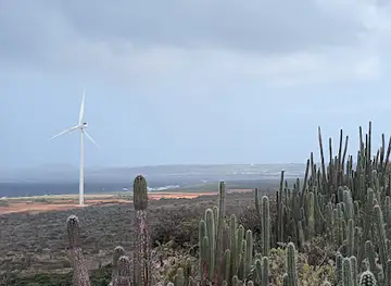 Mirador Tera kòra