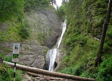 romania/ceahlau-national-park/landmark/cascada-duruitoarea