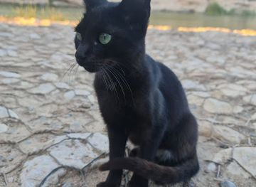 oman/wadi-shab/landmark/this-famous-house