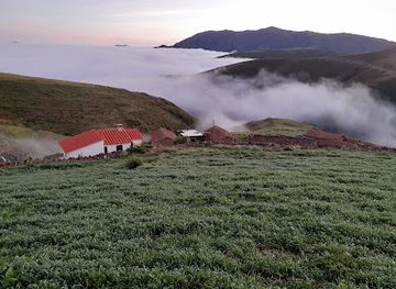 bolivia/tarija-valley/landmark/main-plaza-tarija