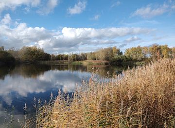 united-kingdom/cambridge-fens/landmark/rspb-ouse-fen-reserve