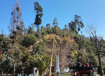chile/vina-del-mar/landmark/artequin-museum-vina-del-mar