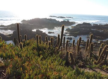 chile/pichilemu/landmark/la-cruz-del-surfista