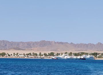 egypt/safaga/landmark/orca-dive-clubs-safaga