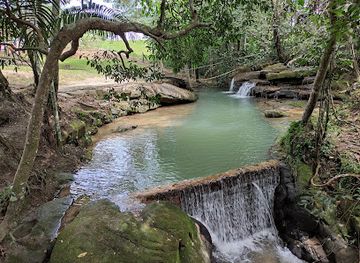 colombia/guaviare-department/landmark/estadero-picapiedra