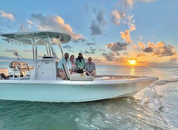 florida/marco-island/landmark/treasure-seekers-shell-tours