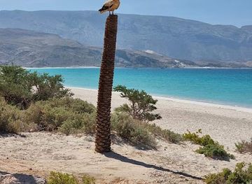 yemen/raymah/landmark/shoab-beach