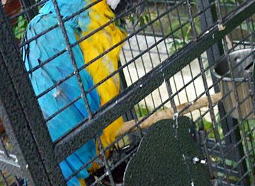 uzbekistan/surkhandarya-region/landmark/orol-ota