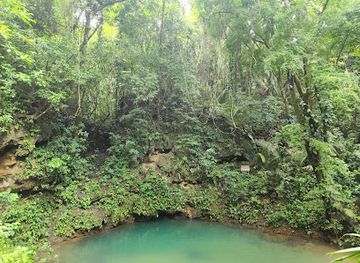 belize/orange-walk-district/landmark/st-herman-s-blue-hole-national-park