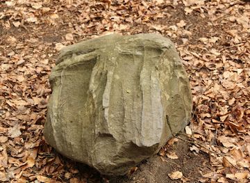 poland/gdansk/oliwa/landmark/kamienna-twarz