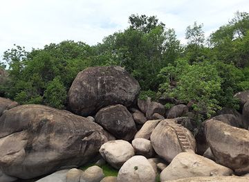 malawi/thyolo-highlands/landmark/lake-malawi-national-park-visitors-center