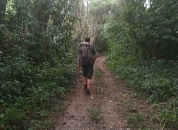 guatemala/verapaces/landmark/tintal