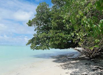 seychelles/ile-aux-vaches-marines/landmark/craft-village