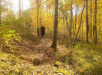 pennsylvania/allegheny-national-forest/landmark/morrison-hiking-trail