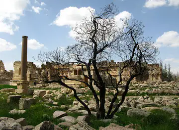 Temple of Bacchus