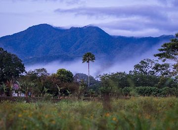 costa-rica/san-carlos/landmark/sloth-s-territory