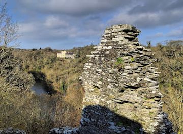 united-kingdom/pembrokeshire/attraction/national-trust-cilgerran-castle-2