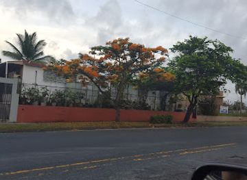 puerto-rico/caguas/landmark/la-lomita-de-charlie