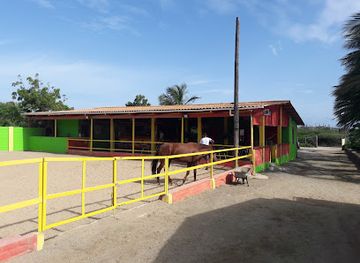 aruba/pos-chiquito/landmark/rancho-loco