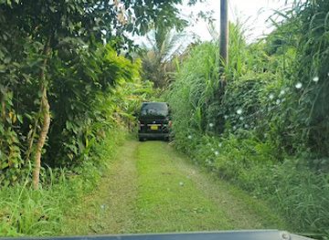 grenada/la-sagesse-beach/landmark/sabrina-s-treehouse