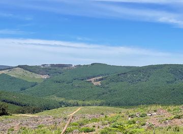 south-africa/lowveld/landmark/magoebaskloof