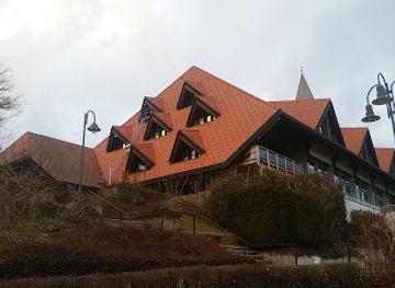 germany/black-forest/landmark/black-forest-of-the-senses