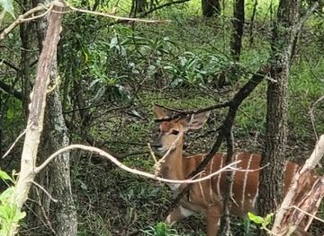 south-africa/elephant-coast/landmark/false-bay-park