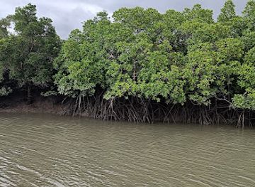india/sundarbans/landmark/sundarban-tourism