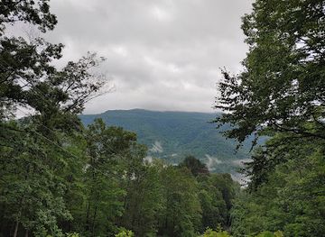kentucky/cumberland-plateau/landmark/kentenia-state-forest