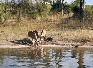 botswana/chobe-national-park/landmark/chobe