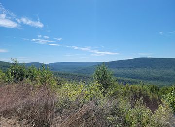 pennsylvania/happy-valley/landmark/bear-meadows-natural-area
