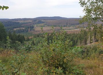 germany/harz-mountains/landmark/wurmberg-steinbruch-vogelschutzgebiet