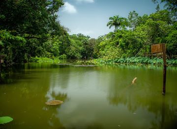 trinidad-and-tobago/point-fortin/landmark/pointe-a-pierre-wildfowl-trust