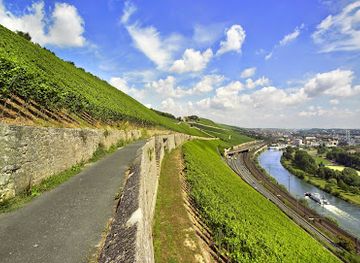 germany/franconia/landmark/burgerspital-winery