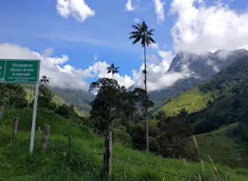 Donde Juan B Bosques de Cocora Valle De cocora