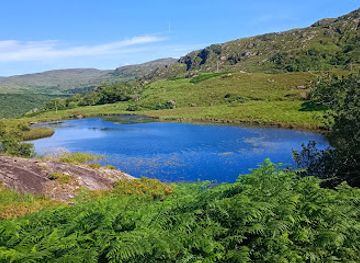 ireland/killarney-national-park/landmark/ladies-view-gift-store-cafe-bar-roof-terrace