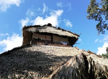 ecuador/sierra/landmark/reserva-de-produccion-de-fauna-cuyabeno