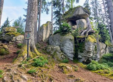 czechia/sumava-national-park/landmark/medvedi-stezka